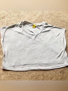 Daisy Light Gray Cropped Tee